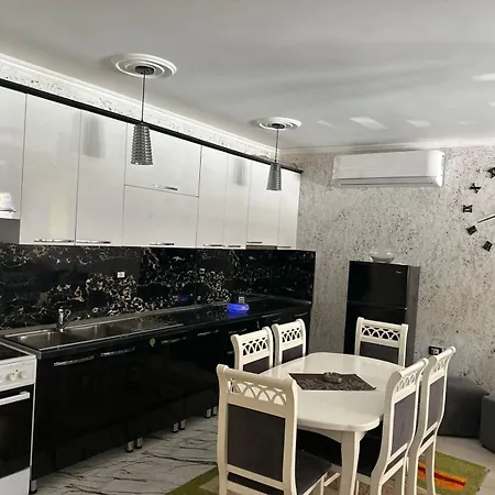 公寓 Holiday Apartment *